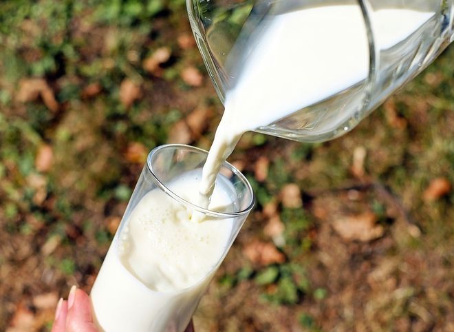 Новые правила маркировки молочных продуктов вступили в силу