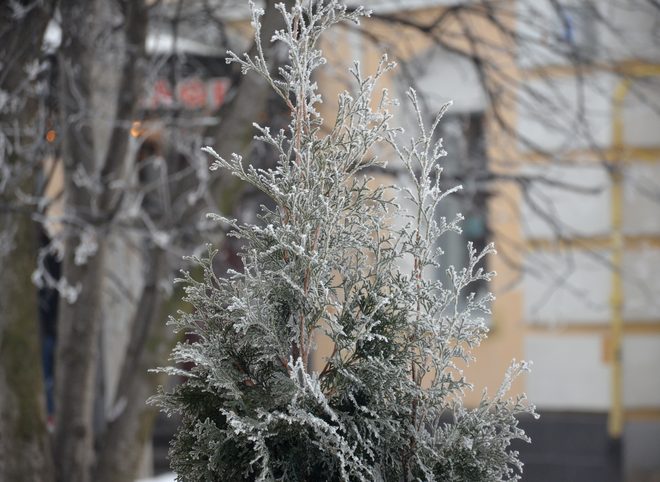 В среду в Рязанской области резко похолодает