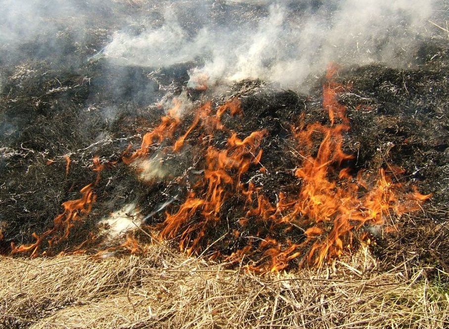В Рязанской области бдительный мужчина спас село от пожара