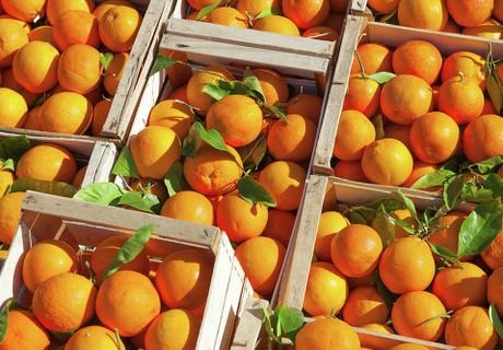 Импорт фруктов из Узбекистана в РФ вырос в 54 раза
