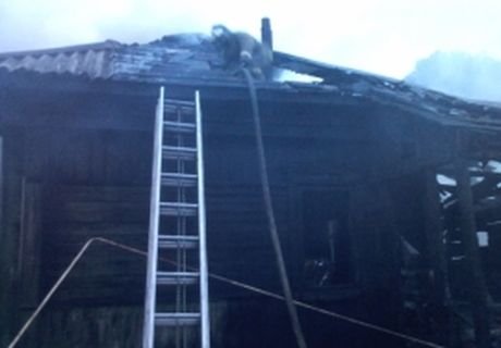 На пожаре в Сасове погибли пенсионерка и мужчина