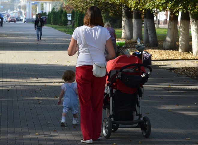 Госдума приняла поправки о мерах поддержки семей с детьми