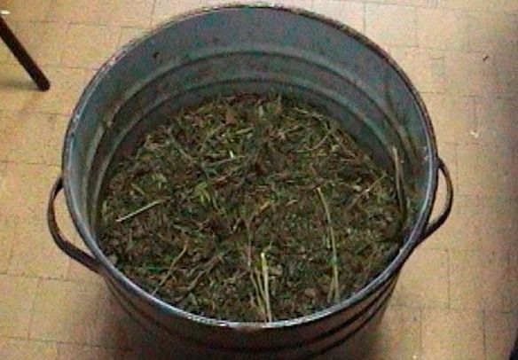 Рязанская наркополиция изъяла более 1,7 кг наркотиков
