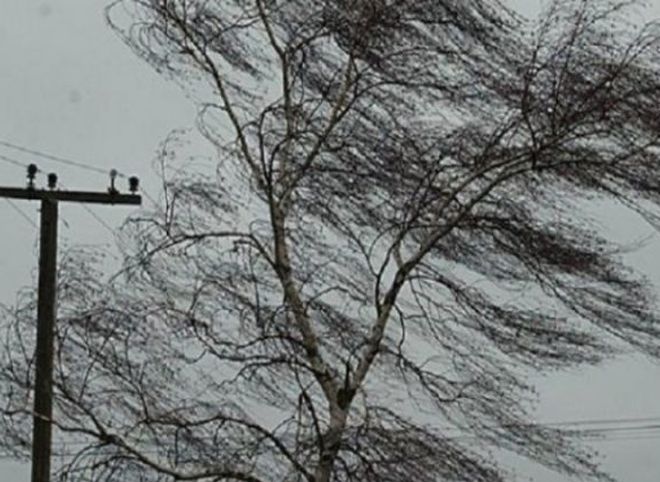 Рязанское МЧС объявило метеопредупреждение на 19 марта