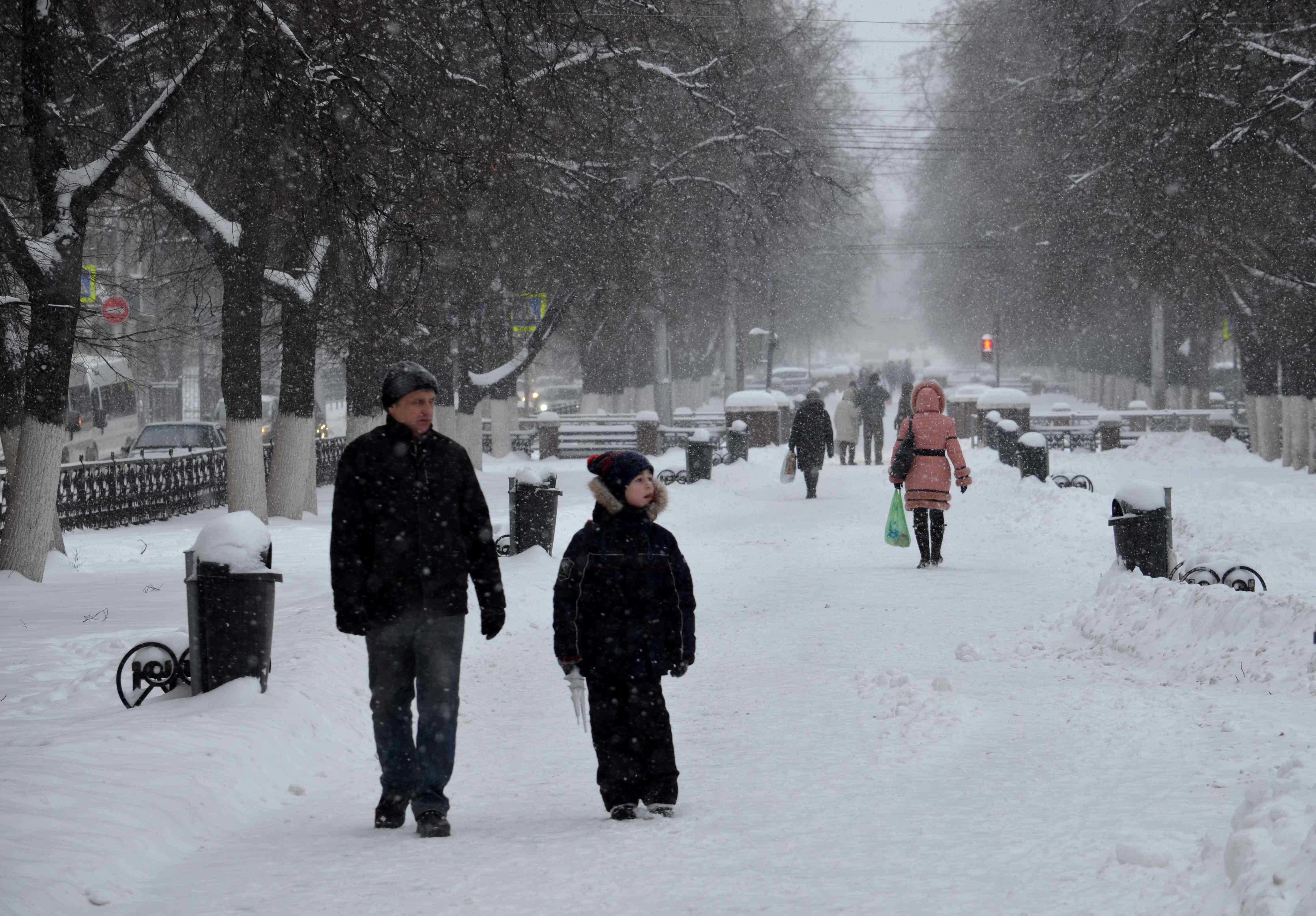 Во вторник в Рязани выпадет четверть месячной нормы снега