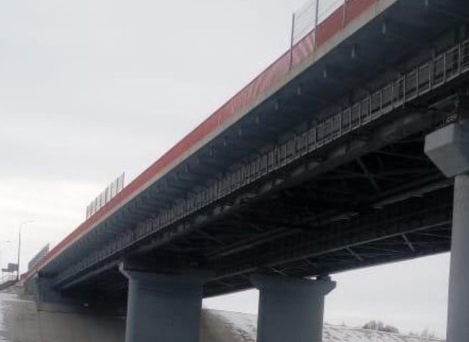 На трассе М5 в Рязанской области мужчина погиб, упав с моста