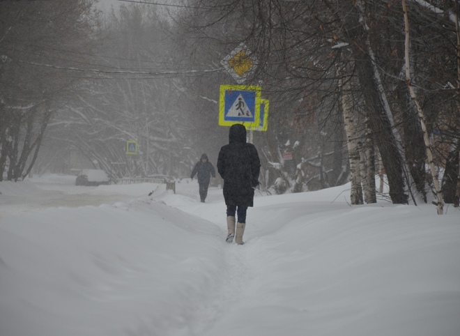 На Рязанскую область надвигается снегопад