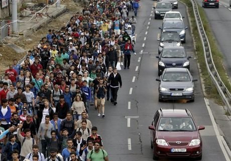 Швеция депортирует 80 тыс. мигрантов