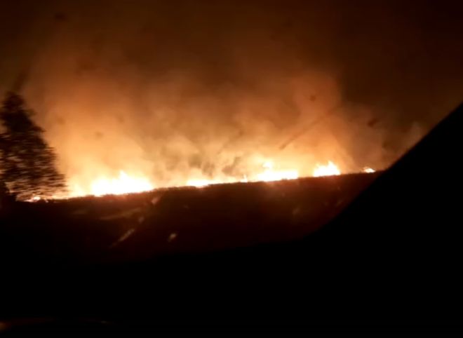 В МЧС рассказали о пожарах в Пителинском районе