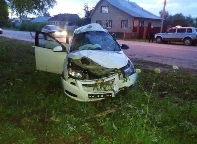 Под Рязанью Chevrolet врезался в дерево, погибла 17-летняя девушка