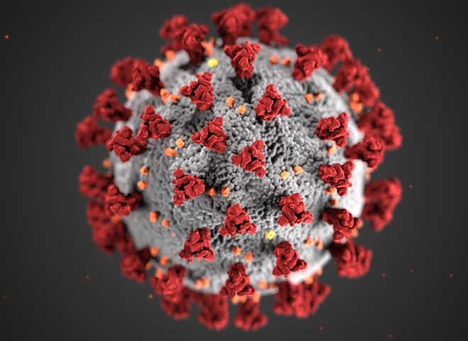 В Рязанской области выявлено еще 140 случаев заражения коронавирусом