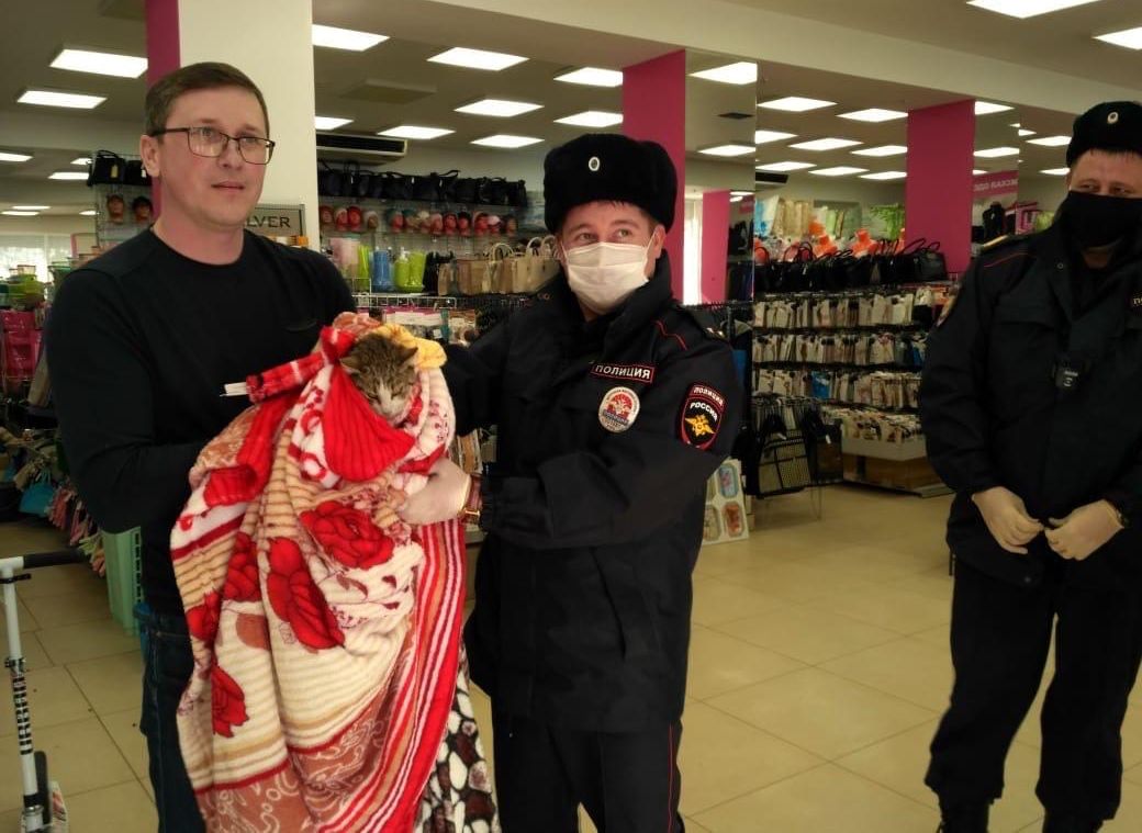 Кота, запертого в магазине на улице Дзержинского, спасли