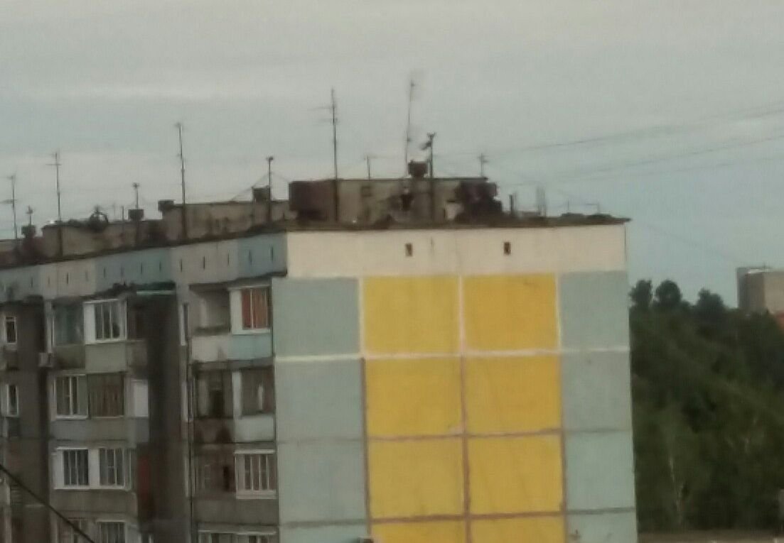 Рязанских детей вновь поймали на крыше