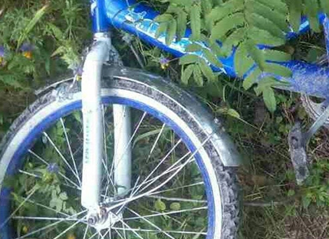 Под Брянском обнаружен велосипед пропавшего мальчика