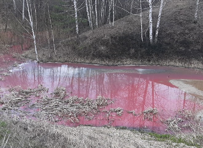 В рязанском минприроды прокомментировали сообщения об окрашивании реки в розовый цвет