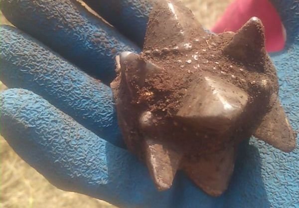 Рязанские археологи нашли булаву XII века