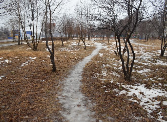 Американские ученые объяснили аномальную зиму в России