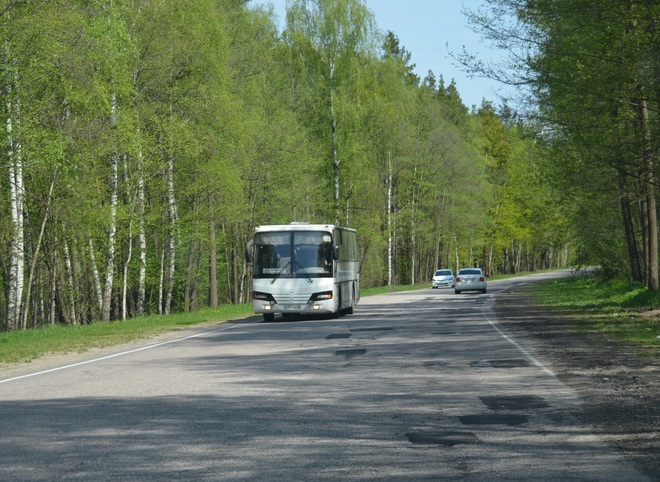 На ремонт дорог в Клепиковском районе потратят 311 млн