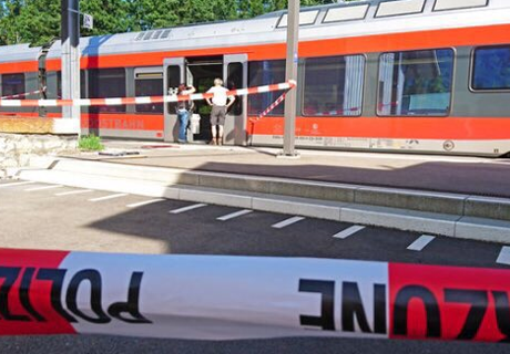 В Швейцарии произошло нападение на пассажиров поезда