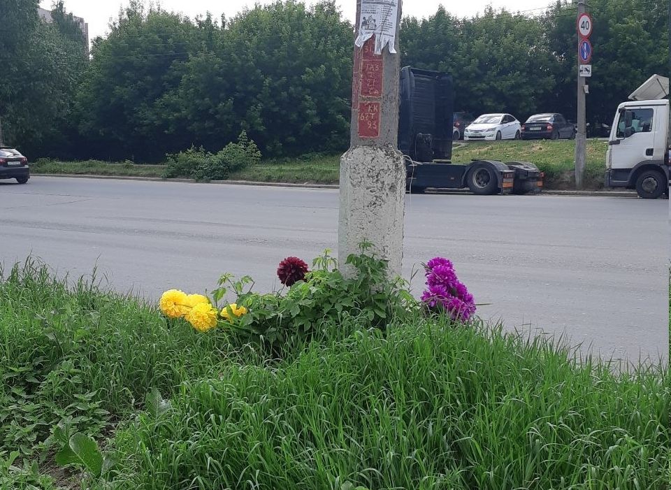 Рязанка добивается создания перехода на месте гибели школьника в Дашково-Песочне