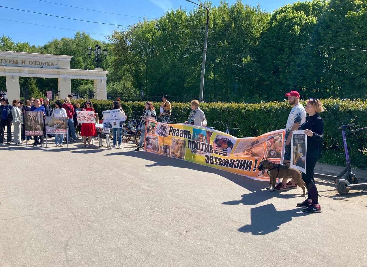 Около 100 человек собрались в Рязани на пикет против эвтаназии бездомных животных