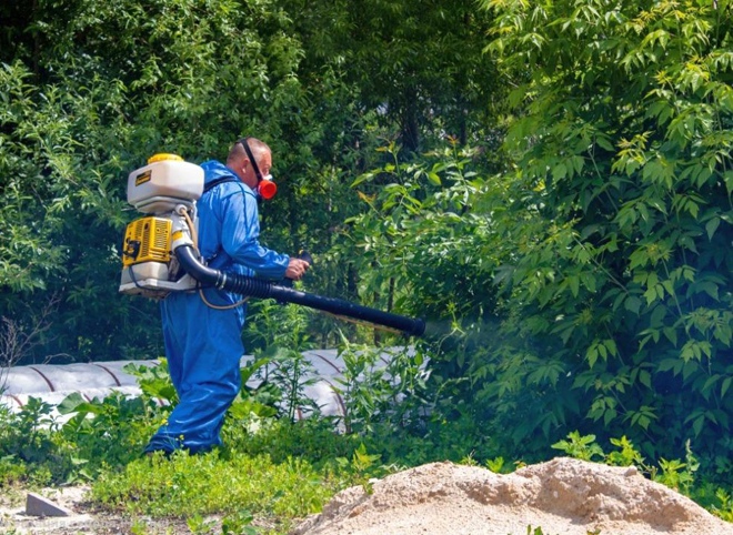 В Рязани начали обрабатывать водоемы от личинок комаров
