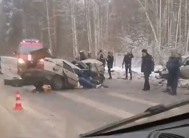 Опубликовано видео с места трагического ДТП в Клепиковском районе