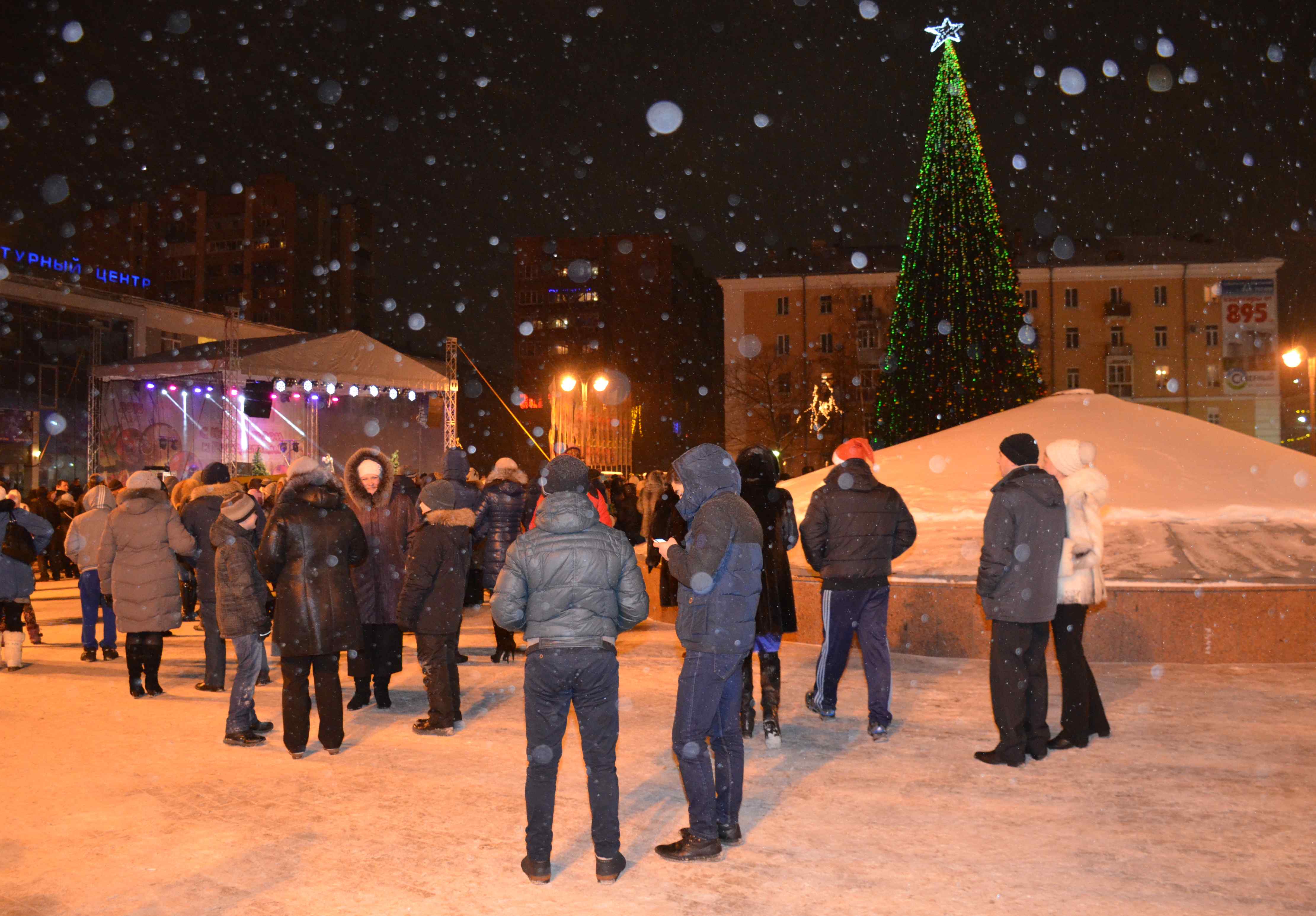 Новогоднюю ель на площади Победы установят 7 декабря