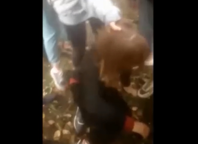 Делом избитой в Новомичуринске девочки занялась прокуратура