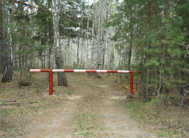 Региональное правительство запретило въезд в рязанские леса