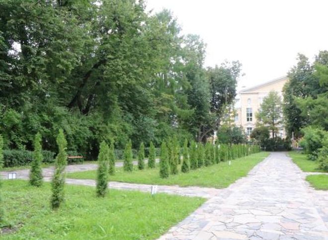 Карабасов: пешеходные зоны Верхнего городского сада будут вымощены тротуарной плиткой