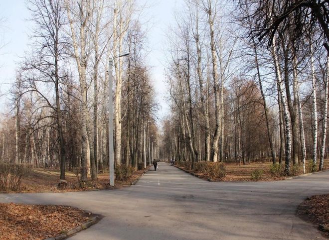 Карабасов поручил исправить все недочеты в благоустройстве парка Гагарина