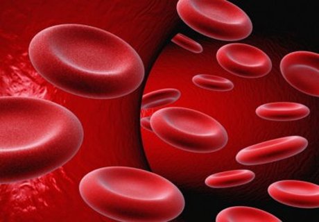 Ученые научились превращать разные группы крови в первую
