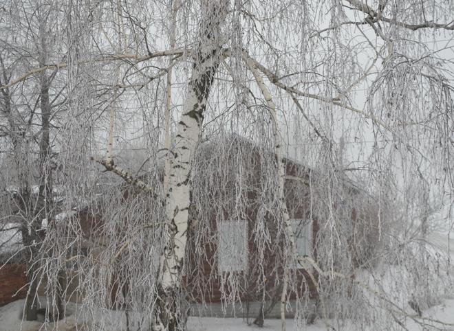Температура воздуха в Рязанской области опустится до -27 ºС