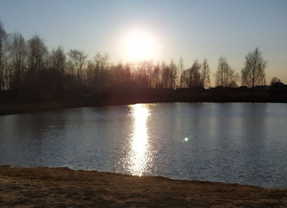 В частном пруду в Рязанской области обнаружили труп охранника