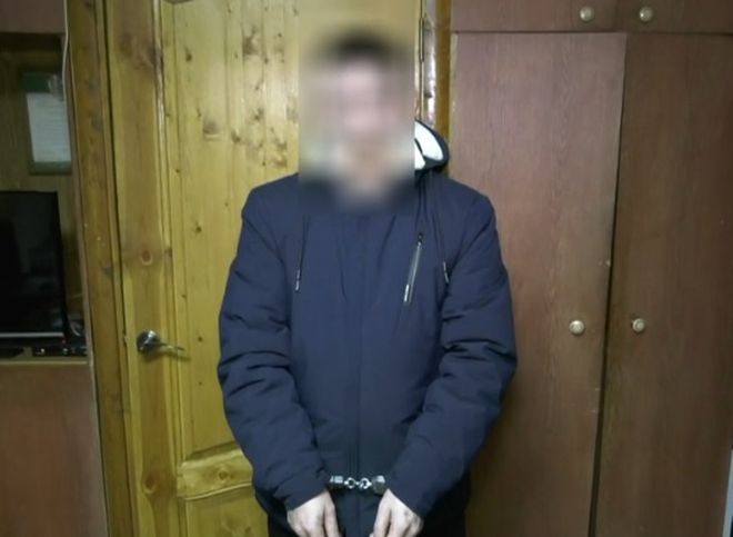 Рязанские полицейские поймали серийных воров