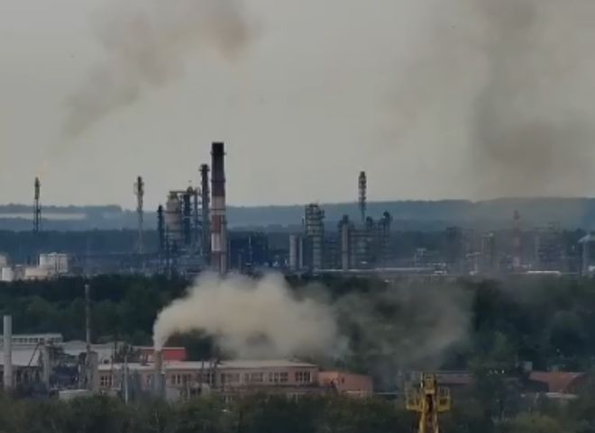 Власти высказались о запахе экскрементов в Рязани