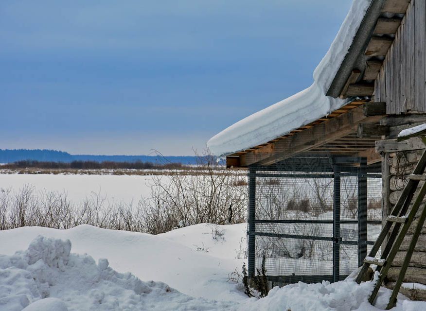 Толщина снежного покрова в Рязанской области на 75% превышает норму
