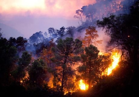 На Дальнем Востоке бушует более 30 лесных пожаров