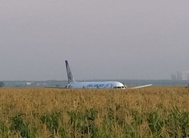 В Жуковском пассажирский самолет совершил аварийную посадку в поле