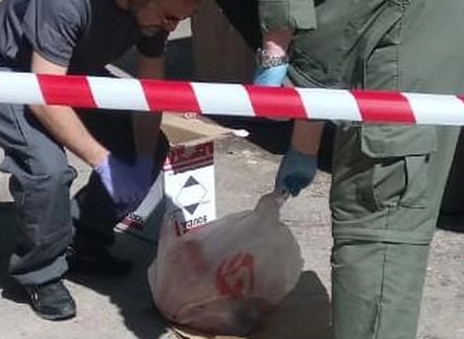 Появились фото и видео с места обнаружения мертвого младенца в Рязани