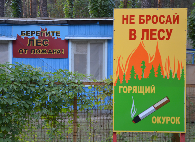 В Клепиковском районе произошел лесной пожар