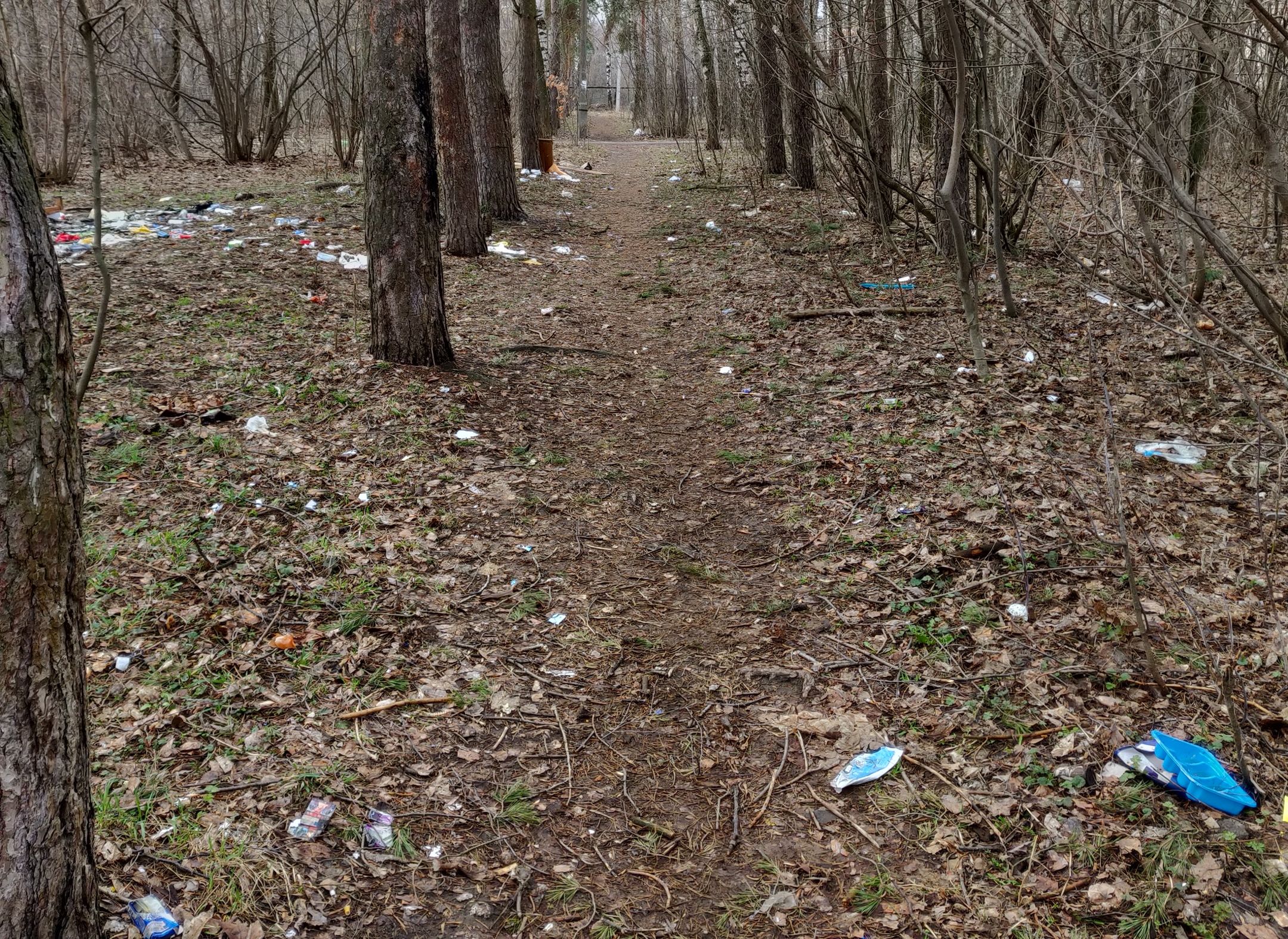 Рязанцы пожаловались на мусор в зеленой зоне дягилевского военного городка