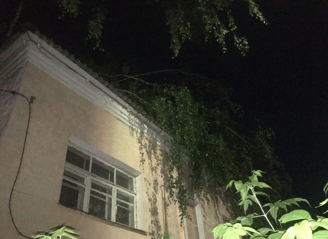 В Касимове дерево упало на жилой дом