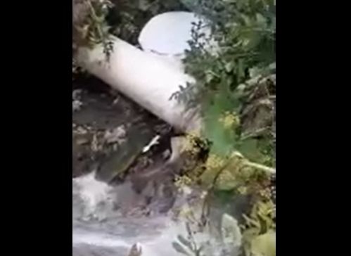 Видео: в Рязани канализационные стоки текут прямо в пруд