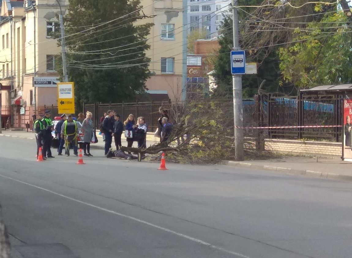 Очевидцы: в центре Рязани рабочий упал с дерева на проезжую часть