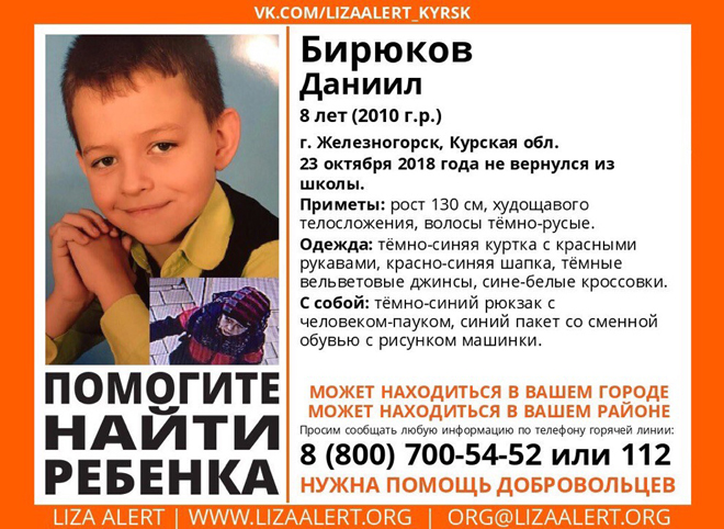 Россиян попросили помочь в поисках восьмилетнего жителя Курской области