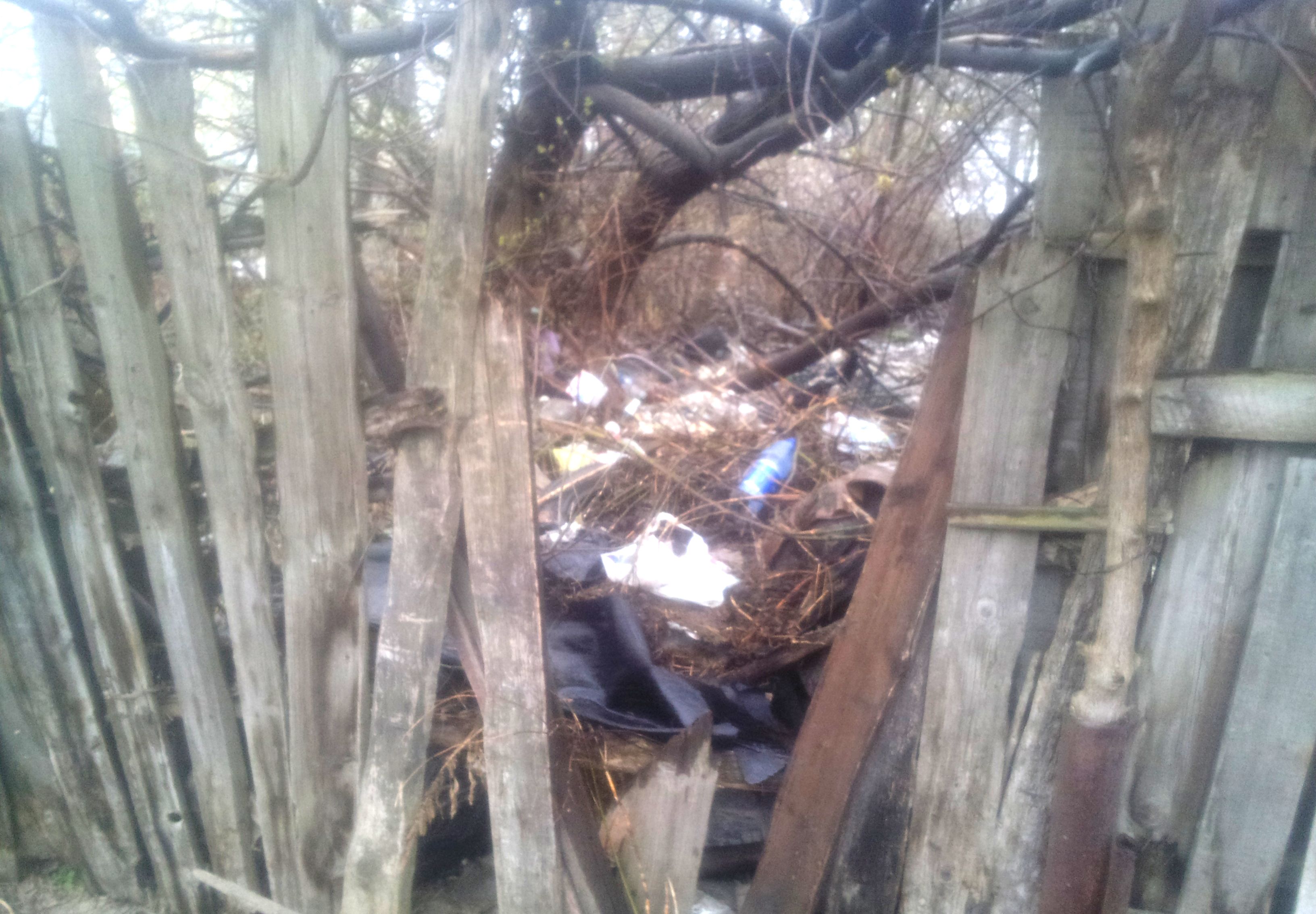В центре Рязани образовалась еще одна свалка мусора