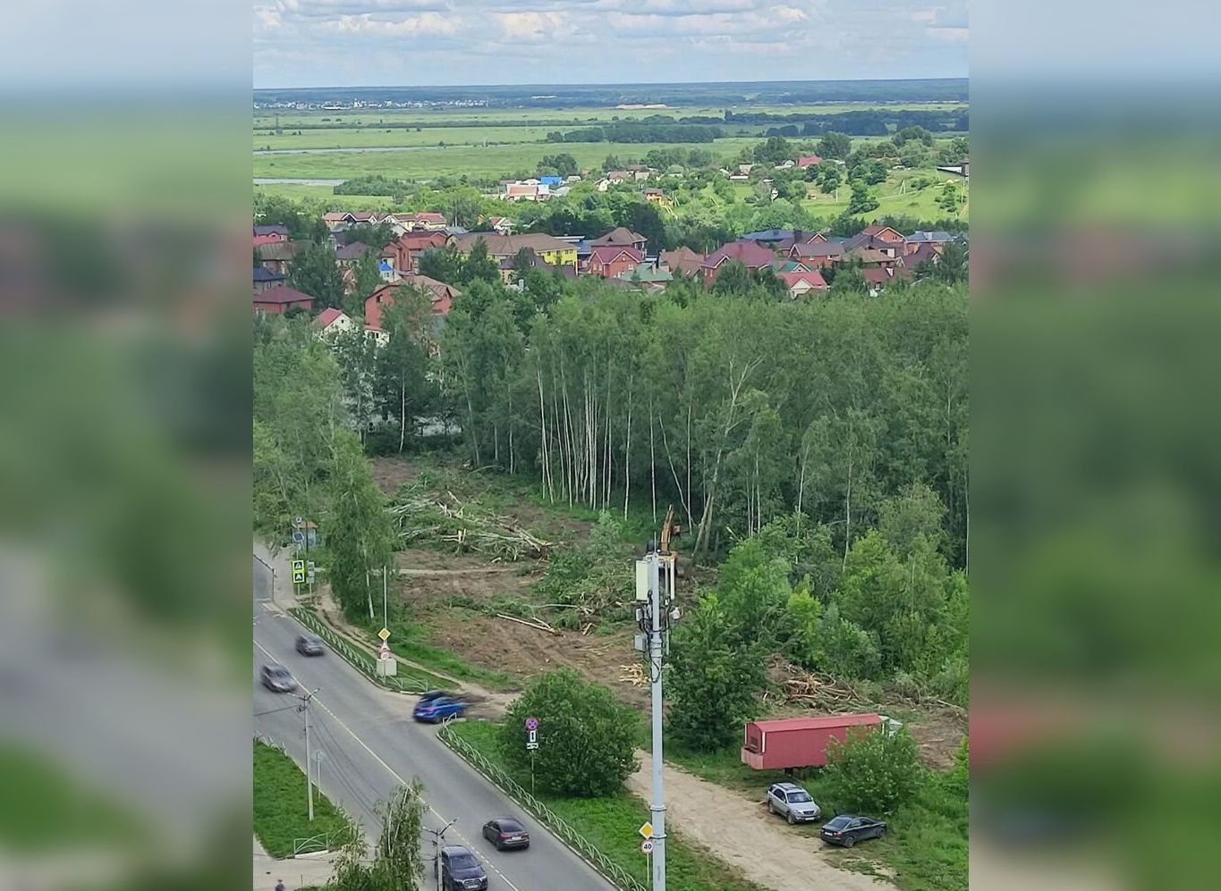 В Дашково-Песочне вырубают березовую рощу | 15.06.2024 | Рязань - БезФормата