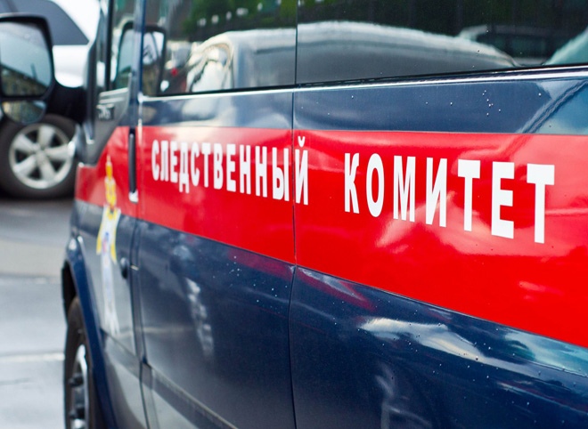 Задержанные за убийство семьи в Подмосковье признали вину